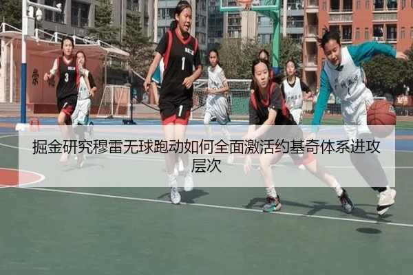 掘金研究穆雷无球跑动如何全面激活约基奇体系进攻层次