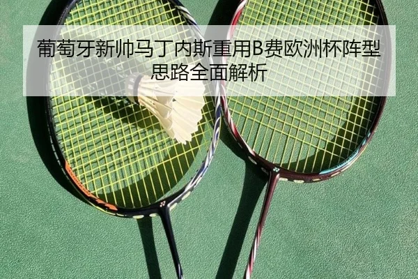 葡萄牙新帅马丁内斯重用B费欧洲杯阵型思路全面解析